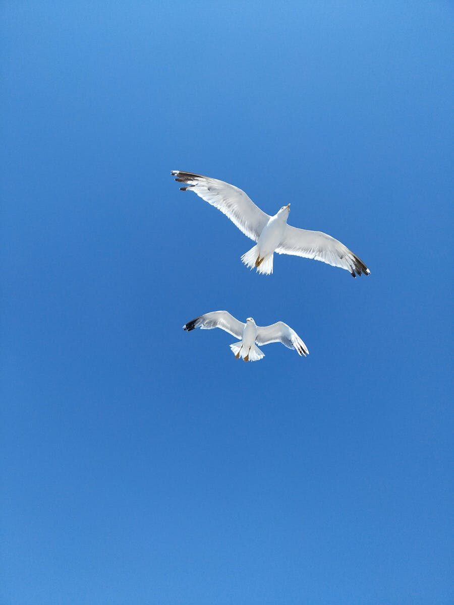 Operational Challenges in Netting