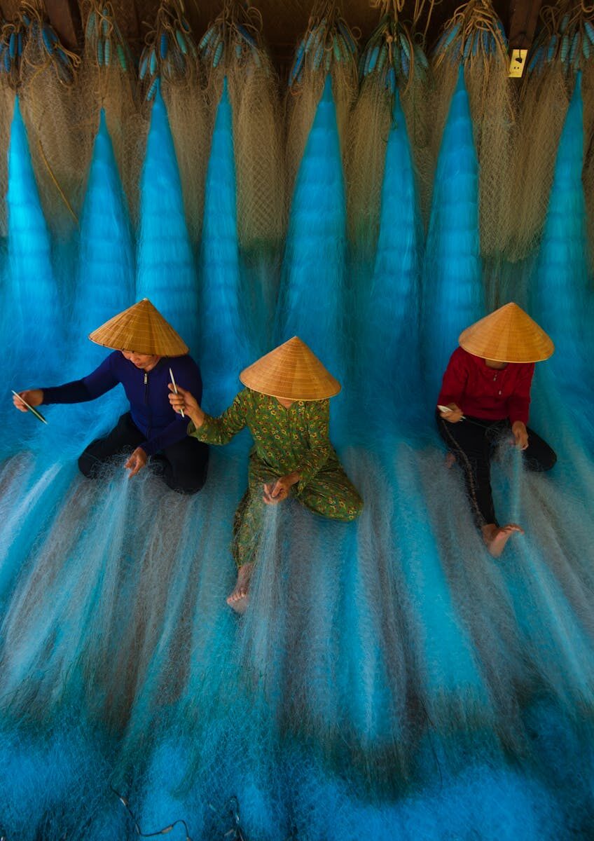 Insolvency Proceedings Timeline